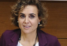 Consejerías y Consejo Asesor podrían interactuar a través del CISNS