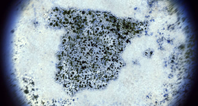 España configura el mapa autonómico de los planes de salud en oncología