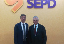 Sinergia entre la SEFH y SEPD