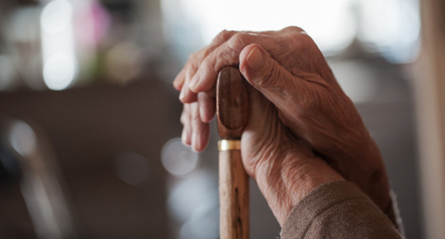 Stada lanza la campaña “Comparte para no olvidar”