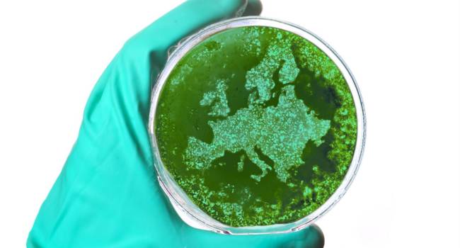 Las IRAS en Europa superan la carga de la gripe o la tuberculosis