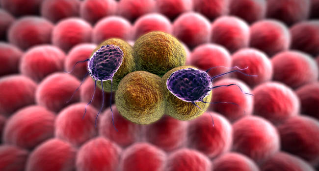 La genómica y el análisis de datos, dos aliados imprescindibles en cáncer