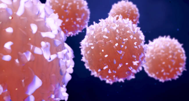 La investigación en CAR-T es imprescindible para que esta terapia sea una realidad