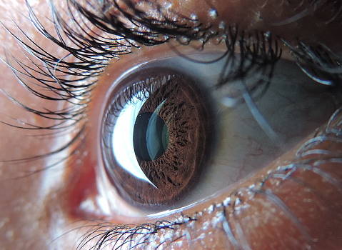 Nueva diana terapéutica para prevenir enfermedades degenerativas de retina