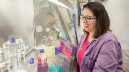 Investigadores identifican una nueva diana cerebral para el tratamiento del Alzheimer y el deterioro cognitivo