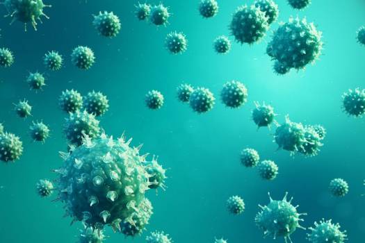 La OMS pide más servicios y tratamientos contra la Hepatitis