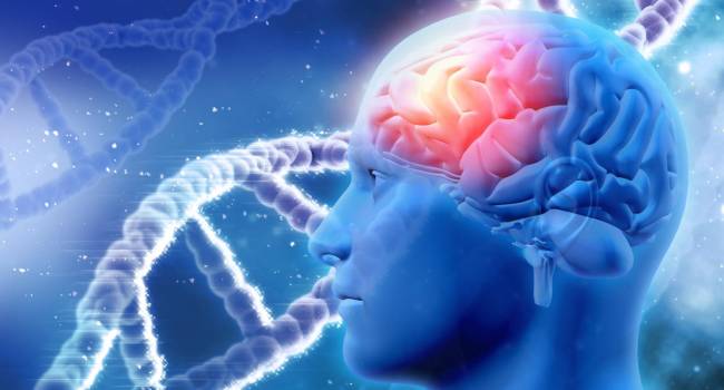 Identifican la senescencia celular en el Alzheimer