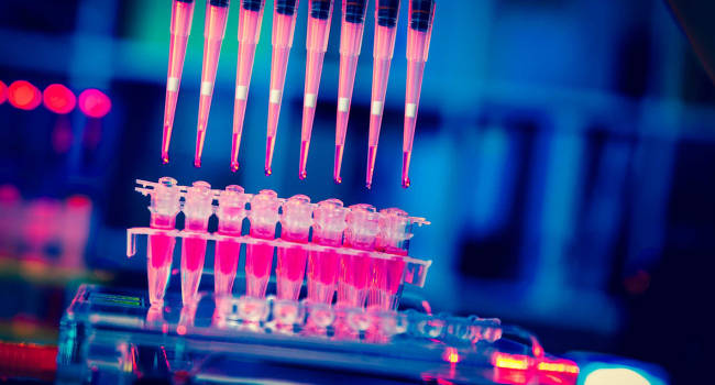 Sostenibilidad y equidad en cáncer, retos de ESMO