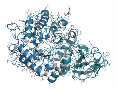 La FDA aprueba Galafold para tratar la enfermedad de Fabry