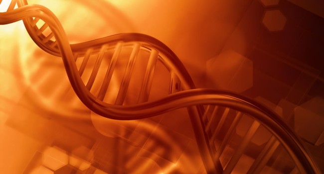 La forma de cuádruple hélice de ADN puede ayudar al desarrollo de terapias contra el cáncer