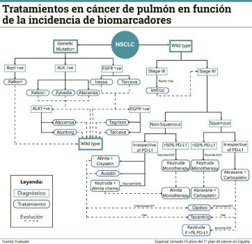 El cáncer de pulmón de células no pequeñas como ejemplo a seguir