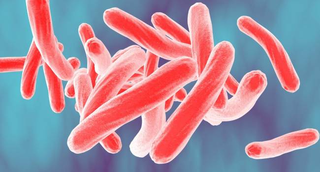 La OMS estima que la cuarta parte de la población está infectada de tuberculosis