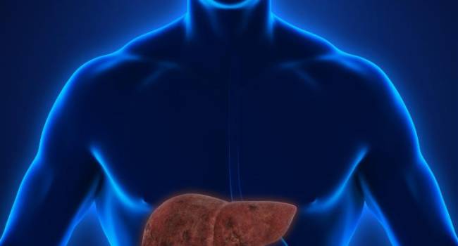 Colaboración clínica entre Novartis y Pfizer para impulsar los tratamientos de EHNA