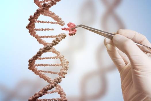 La oncología, cada vez más precisa