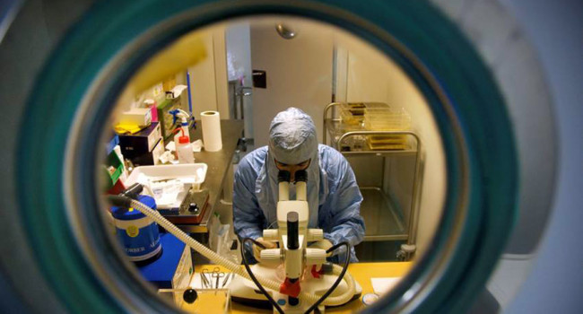 Una nueva molécula detiene el desarrollo del alzhéimer en modelos de ratón