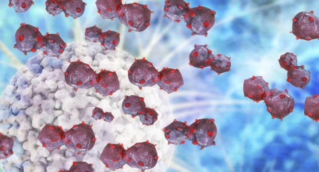 Hallan una célula inmune que protege de las infecciones pulmonares durante la QT
