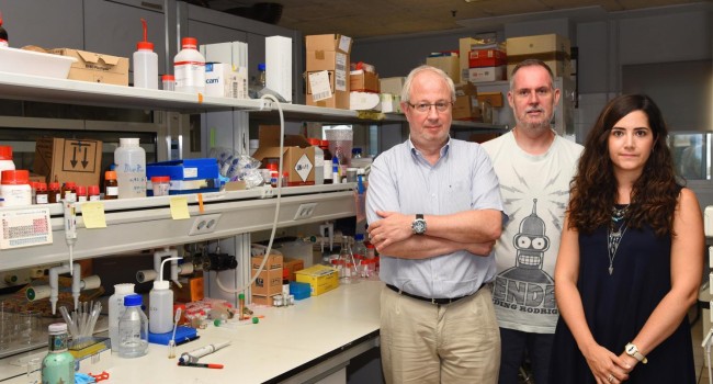 Idean un nuevo sistema que permite la detección de cocaína a muy bajas concentraciones