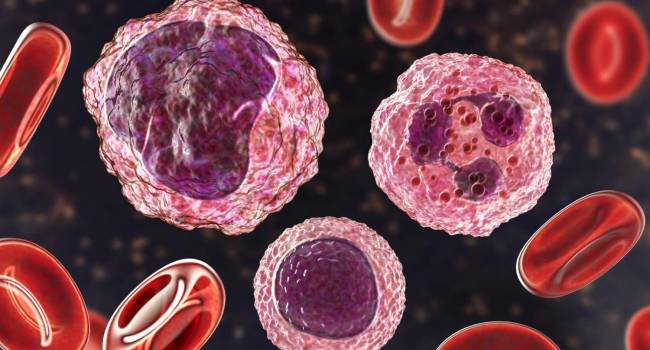 CAR-T, o cómo la innovación aporta esperanzas en hematooncología
