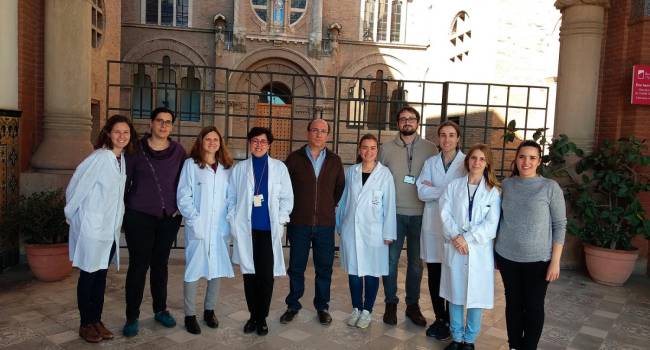 Detectan una alteración con un papel relevante en el aneurisma de aorta abdominal