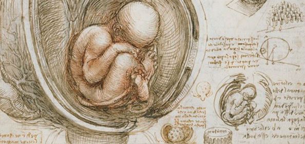 Editado el primer atlas de la mortalidad de las enfermedades raras en España
