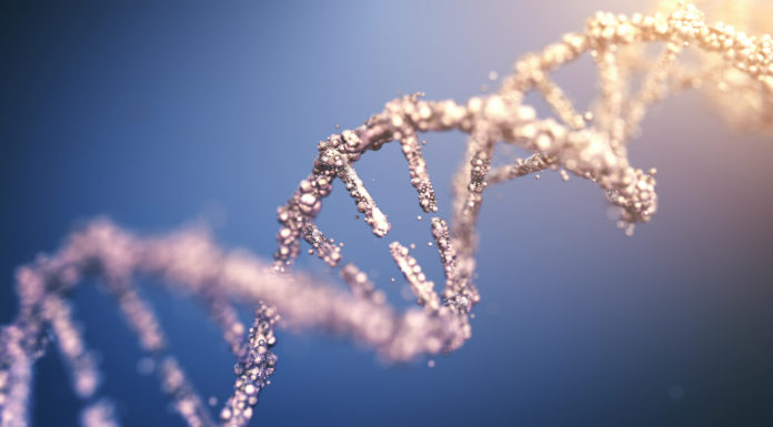 Pan-Cancer: atlas del genoma tumoral para prevenir y tratar el cáncer