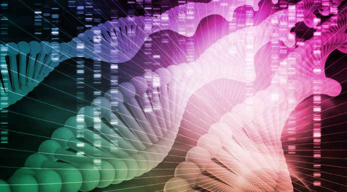Centralización de recursos: clave para implantar la oncología de precisión