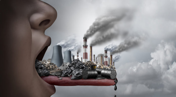 La urgencia sanitaria se desata con la mortalidad por contaminación ambiental Polución e impacto en las personas