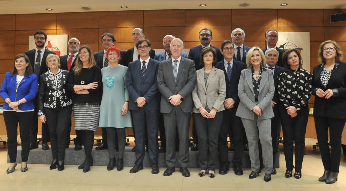 El CISNS aprueba la labor de coordinación del nuevo ministro ante el coronavirus