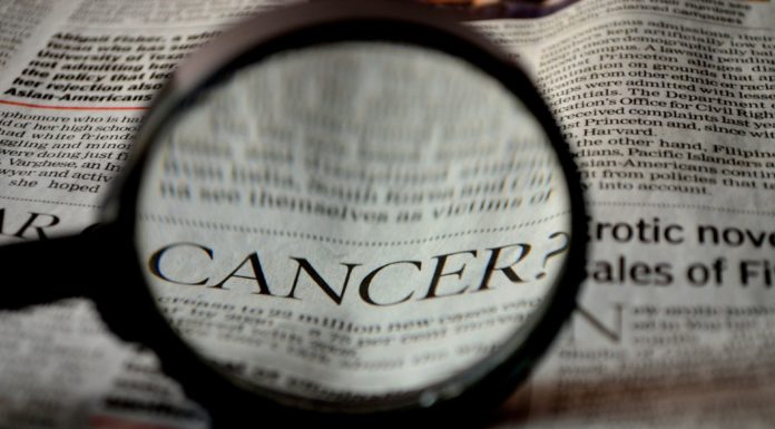 Conquistar el cáncer: Misión posible Imagen de PDPics en Pixabay