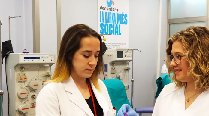 Comunidad Valenciana creará un banco de Linfocitos T para infecciones post-trasplante