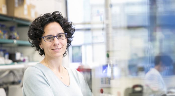“La implicación clínica de Pan-Cancer se enmarca en la medicina personalizada”