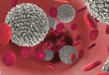 La CE aprueba Venclyxto con obinutuzumab en LLC no tratada previamente