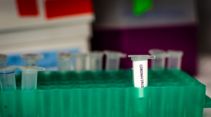 Más inversión de los estados en I+D, llave para frenar el coronavirus