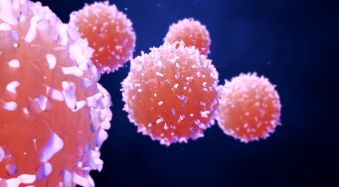 Covid-19: la linfopenia podría ser un potencial biomarcador para casos críticos y fármacos