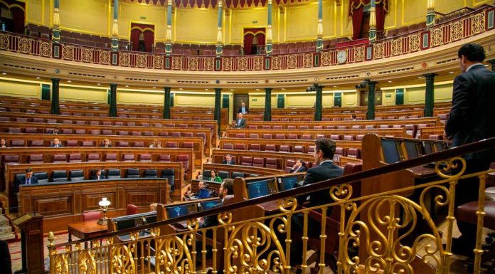 Un Hemiciclo vacío ratifica la unidad ante el Estado de Alarma pero pide más medidas para reforzar el SNS