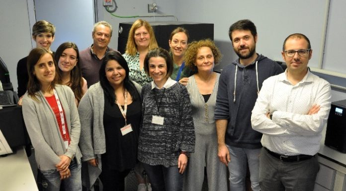 La Universidad de Valencia obtiene los tres primeros genomas del SARS-CoV2 en España