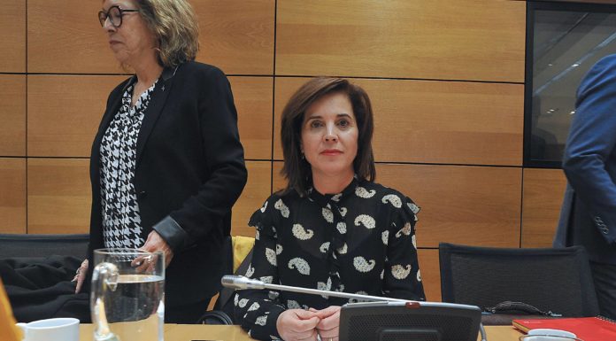 Covid-19: Teresa Cruz, cesada como consejera de Sanidad de Canarias Teresa Cruz