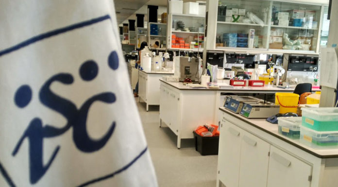 Terapia precoz en combinación y plasma: primeros ensayos del Fondo Covid-19
