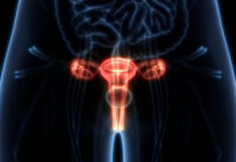 Bavencio obtiene la designación de terapia innovadora para carcinoma urotelial por la FDA