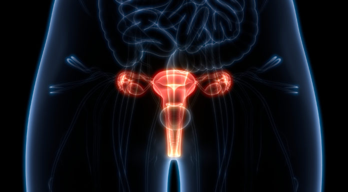 Bavencio obtiene la designación de terapia innovadora para carcinoma urotelial por la FDA