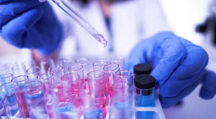 Investigación y ciencia: ‘vacunas’ para una recuperación económica sólida