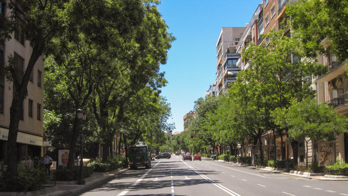 Covid-19: ¿Cómo podría ser una salida coordinada del confinamiento?