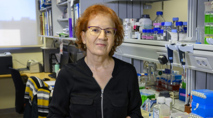 Covid-19: «Encontrar una terapia será más rápido; pero la vacuna será la solución definitiva»