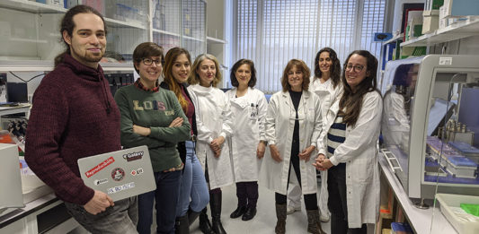 Laboratorio de Virus Respiratorios del Centro Nacional de Microbiología (CNM-ISCIII). / ISCIII