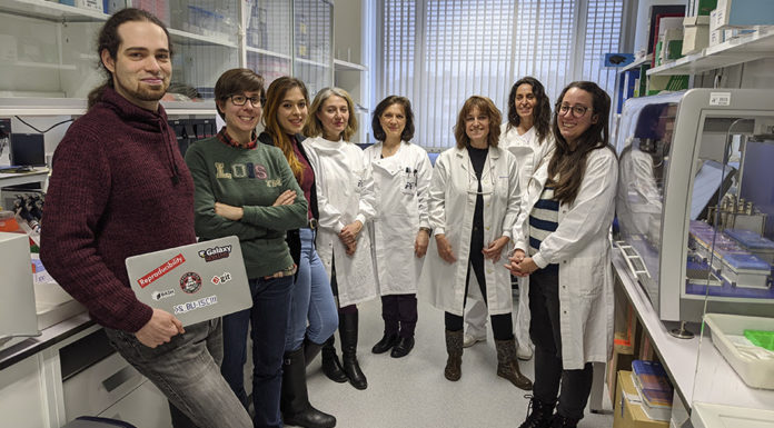El ISCIII secuencia el genoma completo del SARS-CoV-2 en muestras españolas Laboratorio de Virus Respiratorios del Centro Nacional de Microbiología (CNM-ISCIII). / ISCIII