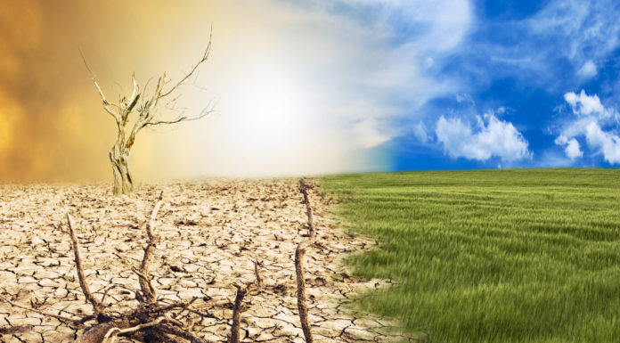 La Ley de Cambio Climático comienza la tramitación parlamentaria
