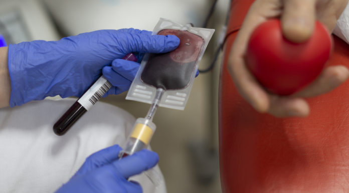 Osakidetza avanza en la terapia de plasma convaleciente para tratar a pacientes con Covid-19