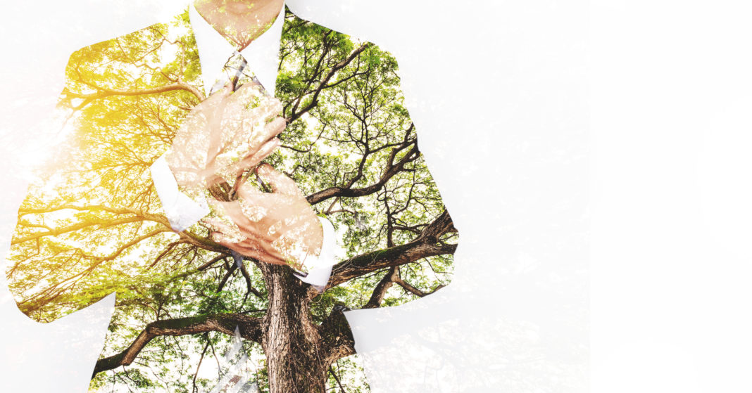 Double Exposure Businessman in Suit with Big Tree