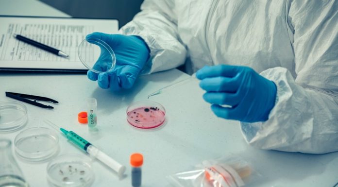 La vacuna de Janssen contra la COVID-19 muestra resultados sólidos en fase preclínica
