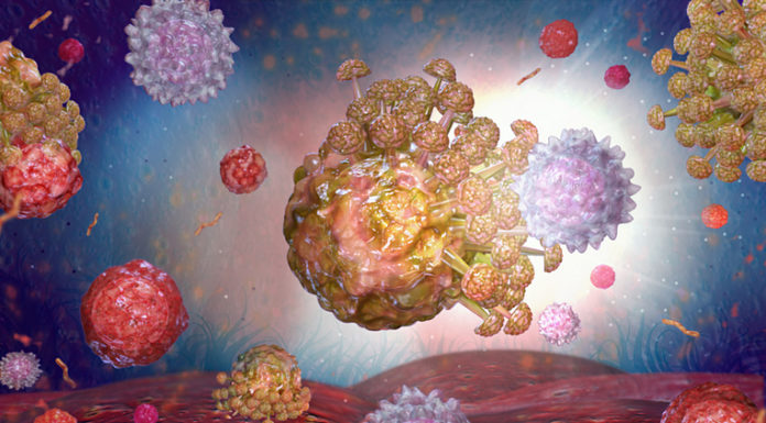 El 35% de sujetos expuestos a otros coronavirus podría desarrollar cierta inmunidad a la COVID-19